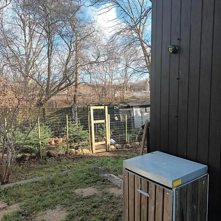 Bonjour Copenhagen 海莱乌