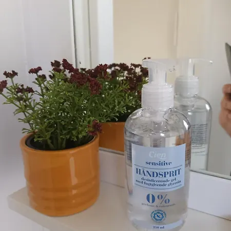 Bonjour Copenhagen 海莱乌