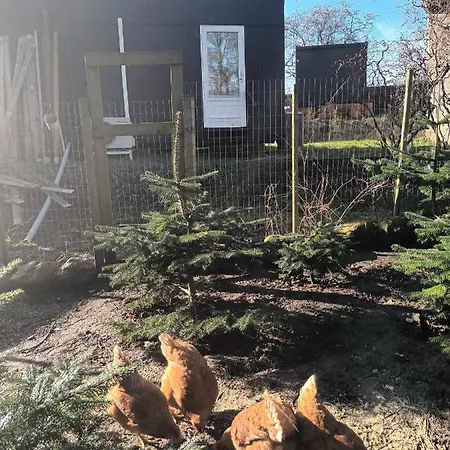 度假居 Bonjour Copenhagen *